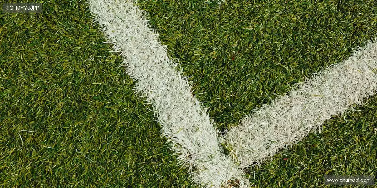 用热爱定义装备，让每一次挥汗都充满仪式感！🎯💪